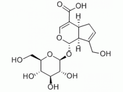 G823650-20mg 京尼平苷酸,分析对照品