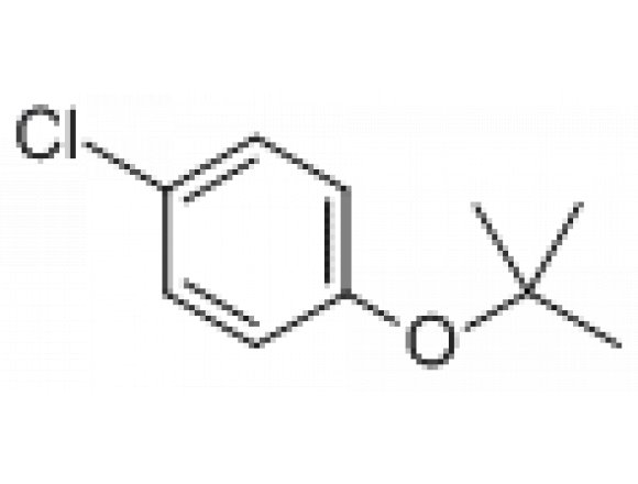 B835244-25g 1-叔丁氧基-4-氯苯,>95%