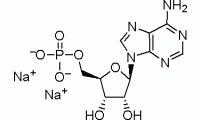 A800044-5g 5'-腺嘌呤核苷酸二钠盐,99%