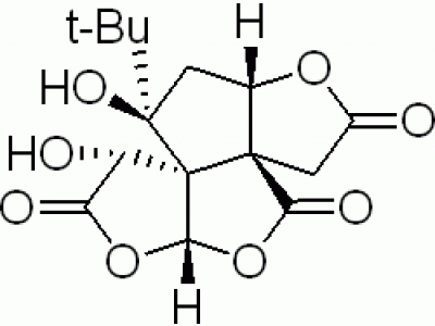 B801958-20mg 白果内酯,分析对照品