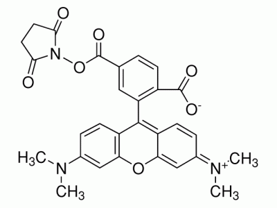 C805578-5mg 6-羧基四甲基罗丹明琥珀酰亚胺酯,for fluorescence