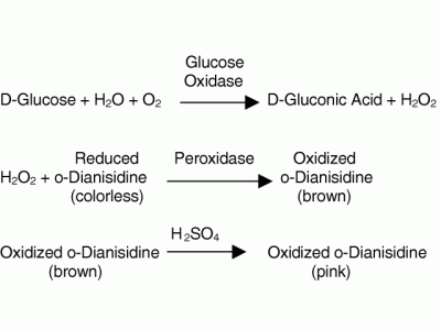 G810483-250KU 葡萄糖氧化酶  来源于黑曲霉,冻干粉, >180 U/mg