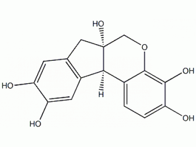 H6176-10g 苏木色素（苏木精）,生物技术级
