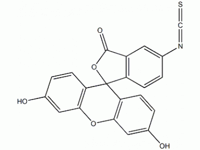 I6141-500mg 异硫氰酸荧光素酯,异构体I 生物技术级