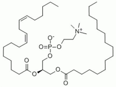 L6300-25g 大豆磷脂,生物技术级