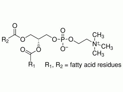 L812368-2.5kg 卵磷脂,Reagent Grade