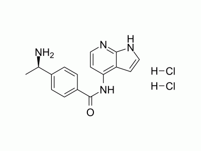 Y-33075 dihydrochloride | MedChemExpress (MCE)