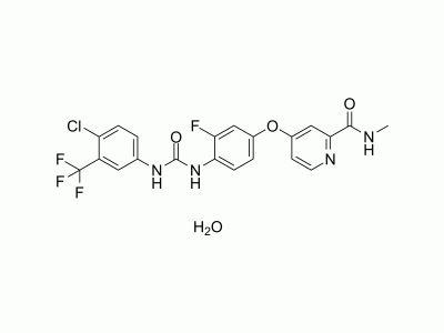 HY-10331A Regorafenib monohydrate | MedChemExpress (MCE)