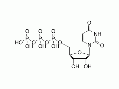 HY-107372 Uridine triphosphate | MedChemExpress (MCE)
