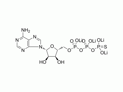 HY-108666 ATPγS tetralithium salt | MedChemExpress (MCE)