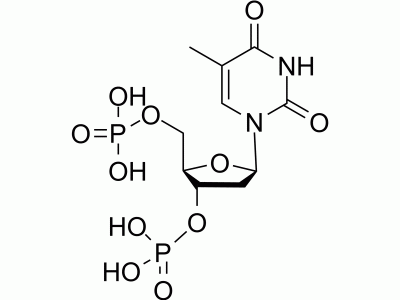 HY-115581 Thymidine 3',5'-disphosphate | MedChemExpress (MCE)