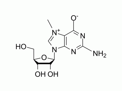 7-Methylguanosine | MedChemExpress (MCE)