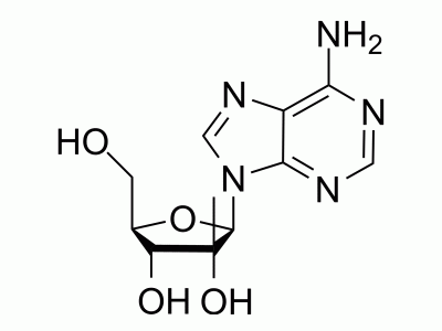 2'-C-Methyladenosine | MedChemExpress (MCE)