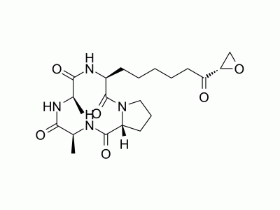 HY-126856 HC-Toxin | MedChemExpress (MCE)