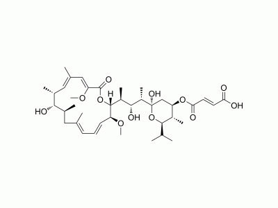HY-130173 Bafilomycin C1 | MedChemExpress (MCE)