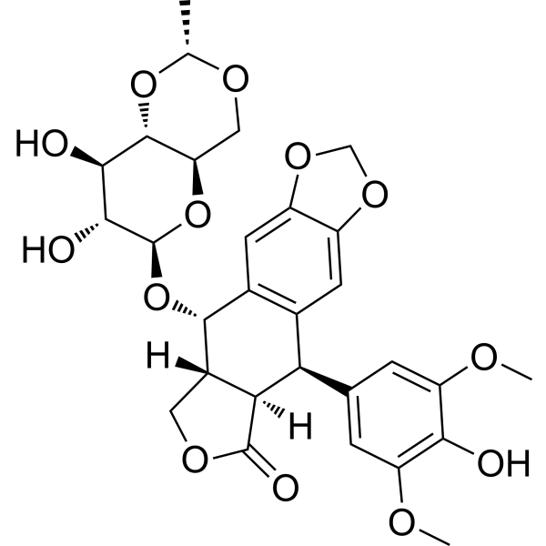 HY-13629 Etoposide | MedChemExpress (MCE