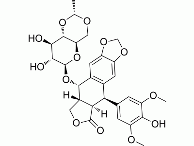 HY-13629 Etoposide | MedChemExpress (MCE)