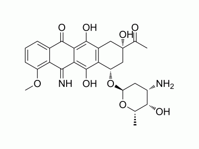 HY-138645 5-Iminodaunorubicin | MedChemExpress (MCE)