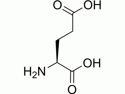 L-Glutamic acid | MedChemExpress (MCE)