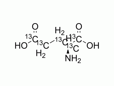 HY-14608S5 L-Glutamic acid-13C5 | MedChemExpress (MCE)