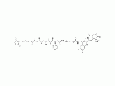 HY-153360 MC-GGFG-AM-(10Me-11F-Camptothecin) | MedChemExpress (MCE)