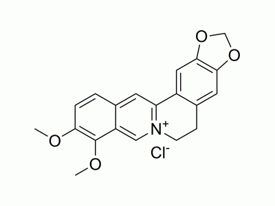HY-18258 Berberine chloride | MedChemExpress (MCE)