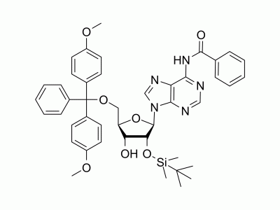 HY-21601 5'-O-DMT-2'-O-TBDMS-N-Bz-Adenosine | MedChemExpress (MCE)