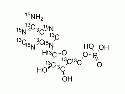 Adenosine monophosphate-13C10,15N5 | MedChemExpress (MCE)