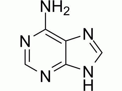 HY-B0152 Adenine | MedChemExpress (MCE)