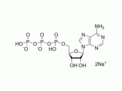 HY-B0345A ATP disodium salt | MedChemExpress (MCE)