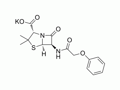 HY-B0975 Penicillin V Potassium | MedChemExpress (MCE)