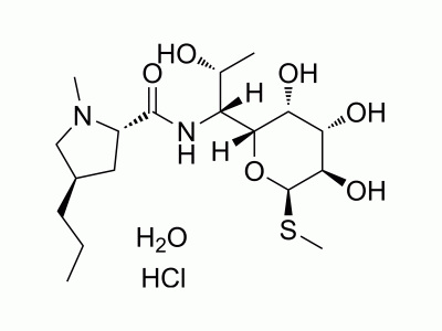 Lincomycin hydrochloride monohydrate | MedChemExpress (MCE)