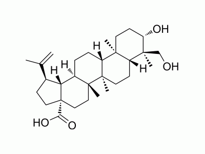 HY-N0566 23-Hydroxybetulinic acid | MedChemExpress (MCE)