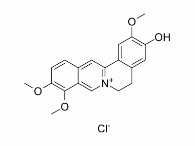 HY-N0740 Jatrorrhizine chloride | MedChemExpress (MCE)