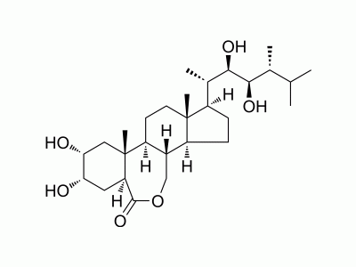 HY-N0848 Epibrassinolide | MedChemExpress (MCE)