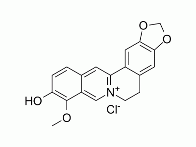 HY-N2023A Thalifendine chloride | MedChemExpress (MCE)