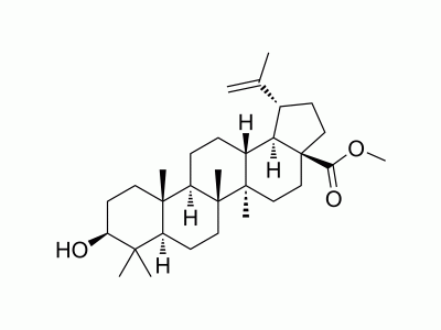 Betulinic acid methyl ester | MedChemExpress (MCE)