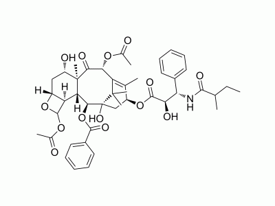 HY-N7256 Dihydrocephalomannine | MedChemExpress (MCE)