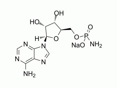 Adenosine 5′-monophosphoramidate sodium | MedChemExpress (MCE)