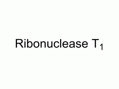 Ribonuclease T1 | MedChemExpress (MCE)