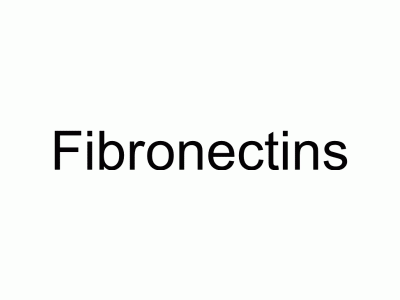 Fibronectin | MedChemExpress (MCE)