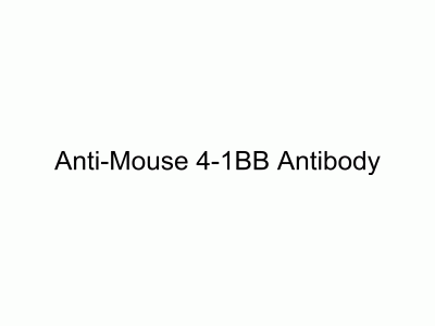 HY-P99119 Anti-Mouse 4-1BB Antibody | MedChemExpress (MCE)