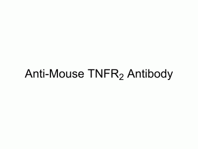 HY-P99149 Anti-Mouse TNFR2 Antibody | MedChemExpress (MCE)