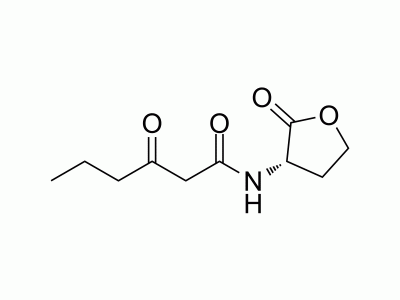 HY-W008806 N-(3-Oxohexanoyl)-L-homoserine lactone | MedChemExpress (MCE)