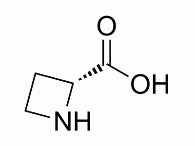 (R)-Azetidine-2-carboxylic acid | MedChemExpress (MCE)