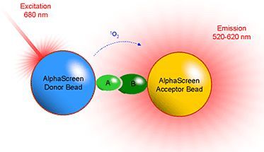 高<em>通量</em>药物筛选试剂AlphaScreen