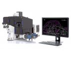 蔡司配备Lattice SIM²的Elyra 7 超高分辨率活细胞成像系统