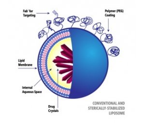 纳米脂质体合成系统
