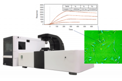  表面等离子体共振显微镜SPRm 200Biosensing Instrument SPR显微镜用于表皮生长因子受体表达水平及细胞表面结合动力学定量检测