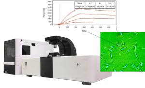 Biosensing Instrument 表面等离子体共振显微镜SPRm 200 适用于A431cell，<em>anti</em>-EGFR